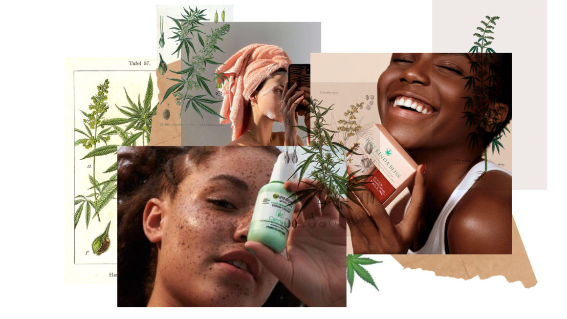 CBD PRODUCTS COVER