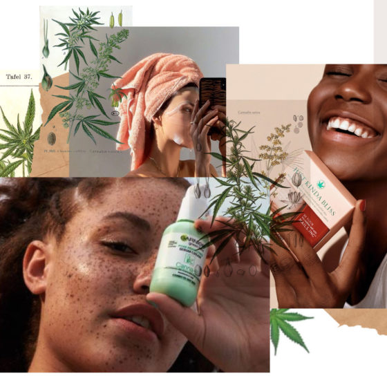 CBD PRODUCTS COVER